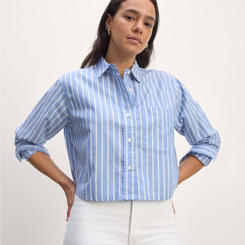 Everlane The Way-Short Shirt Blue and White Striped Button Down